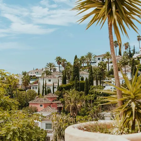 Aloha Hill Spacious - Tcm Apartment